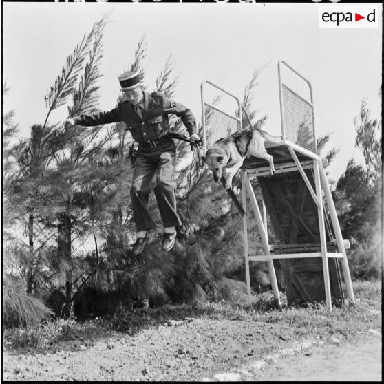 Chenil à la gendarmerie de Beni Messous. Entraînement des chiens.