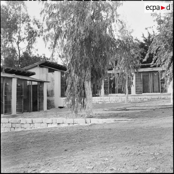 Chenil à la gendarmerie de Beni Messous.