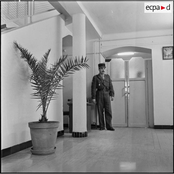 Alger. Etat-Major Interarmées (EMI). Un agent.