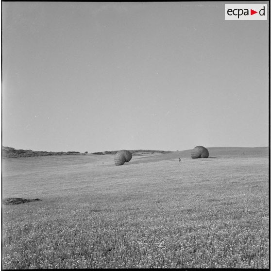 Le 2e REP en opération. [Description en cours]