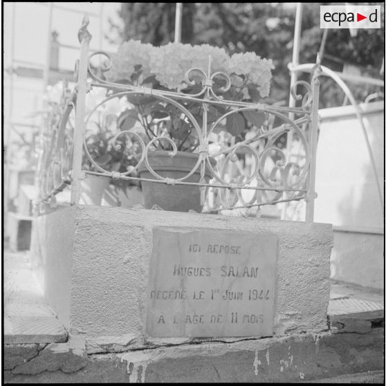 Dépôt de gerbe de fleurs sur la tombe du fils du général Salan. [Description en cours]