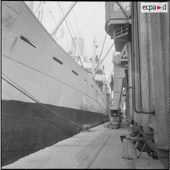 Le paquebot le Lacydon dans le port d'Alger. [Description en cours]