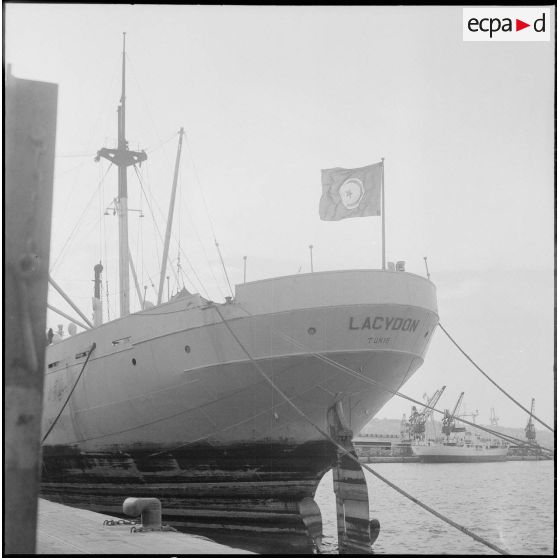 Le paquebot le Lacydon dans le port d'Alger. [Description en cours]