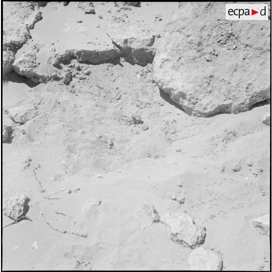 Opération dans le désert. [Description en cours]