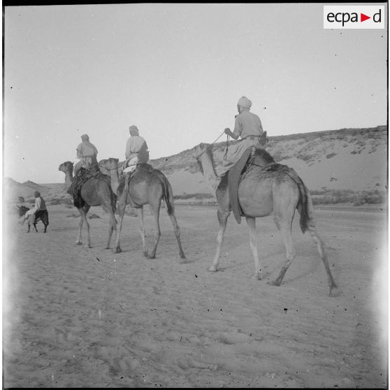 La 1re compagnie saharienne d'infanterie (CSI) de Béni-Abbès. [Description en cours]