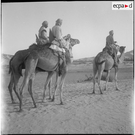 La 1re compagnie saharienne d'infanterie (CSI) de Béni-Abbès. [Description en cours]