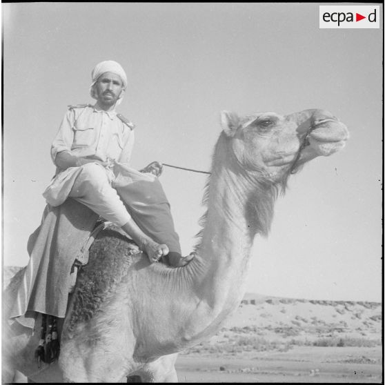La 1re compagnie saharienne d'infanterie (CSI) de Béni-Abbès. [Description en cours]