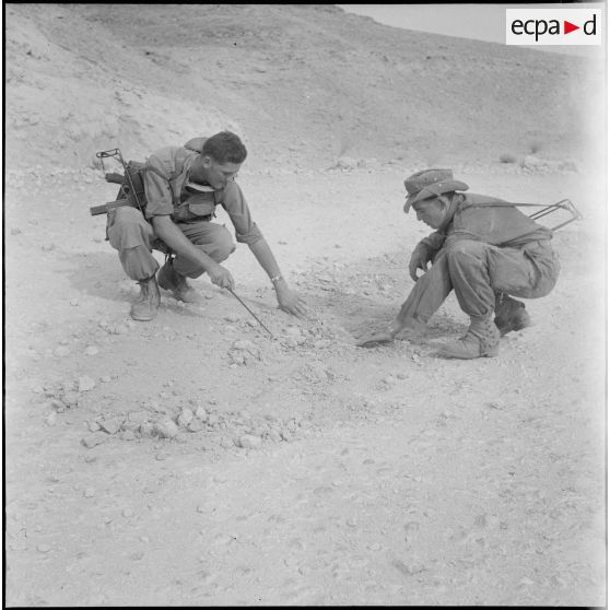 Activités quotidiennes dans le désert. [Description en cours]