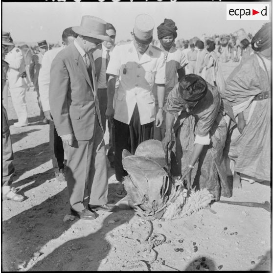 Inauguration du marché aux chameaux de Tindouf.