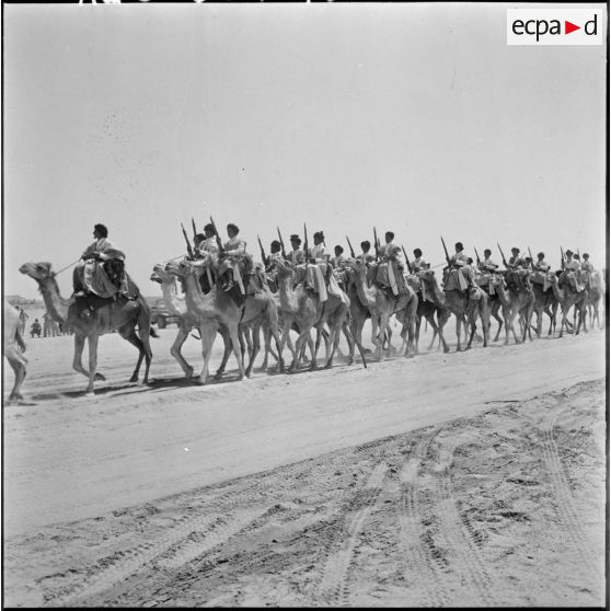 Inauguration du marché aux chameaux de Tindouf. Défilé de la compagnie méhariste.