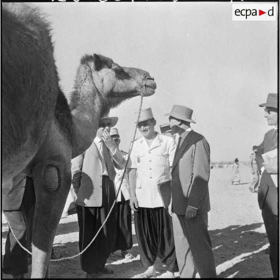 Inauguration du marché aux chameaux de Tindouf. Les autorités s'entretiennent.