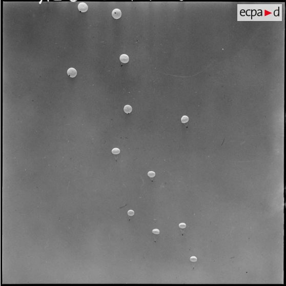 Inauguration du marché aux chameaux de Tindouf. Des parachutistes dans le ciel.