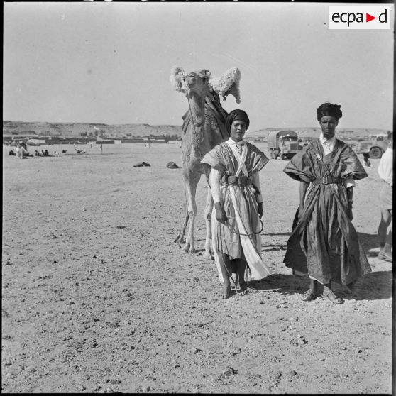 Inauguration du marché aux chameaux de Tindouf. Reghibats.