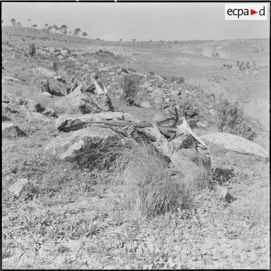 Commando Cobra. Entraînement de tir.