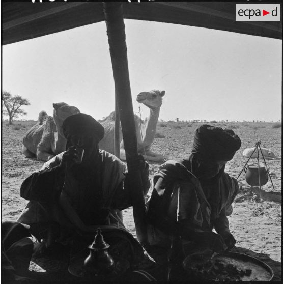 Les Reghibats sous la tente.