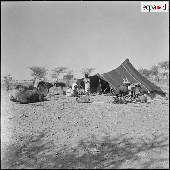 Campement Reghibat.