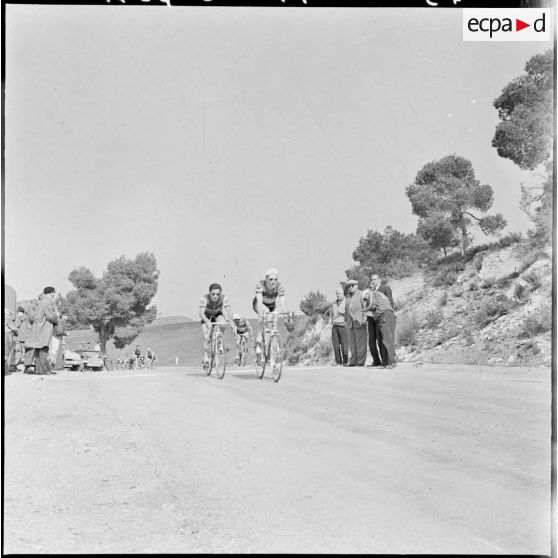 Prix cycliste 1960 du département de Bône. Les coureurs Le Borgne et Decrescenzo au col de la Zarouria