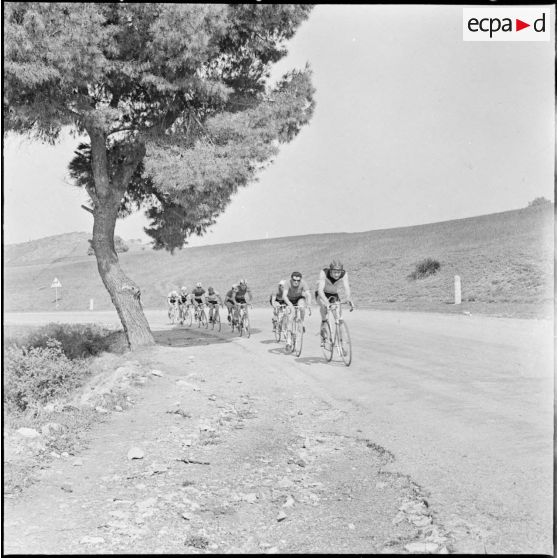 Prix cycliste 1960 du département de Bône. Un groupe de coureurs sur la route de Tebessa.