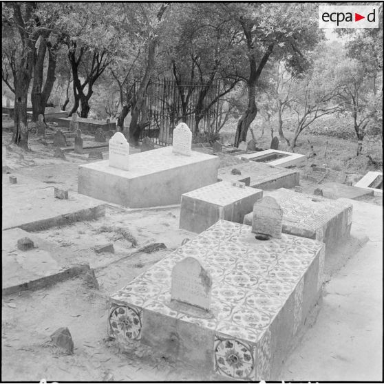 Tizi Ouzou. Le cimetière kabyle.