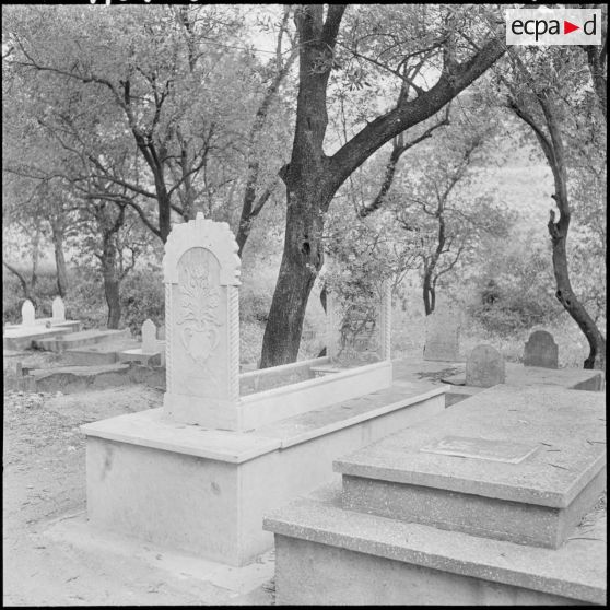 Tizi Ouzou. Le cimetière kabyle.