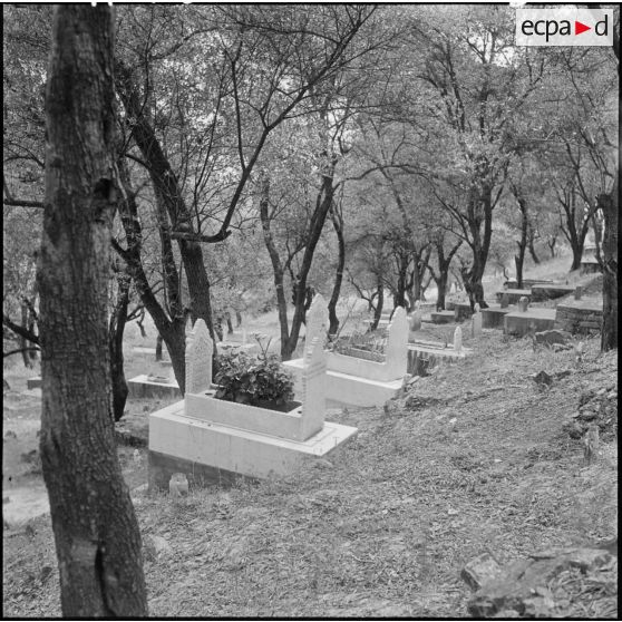 Tizi Ouzou. Le cimetière kabyle.