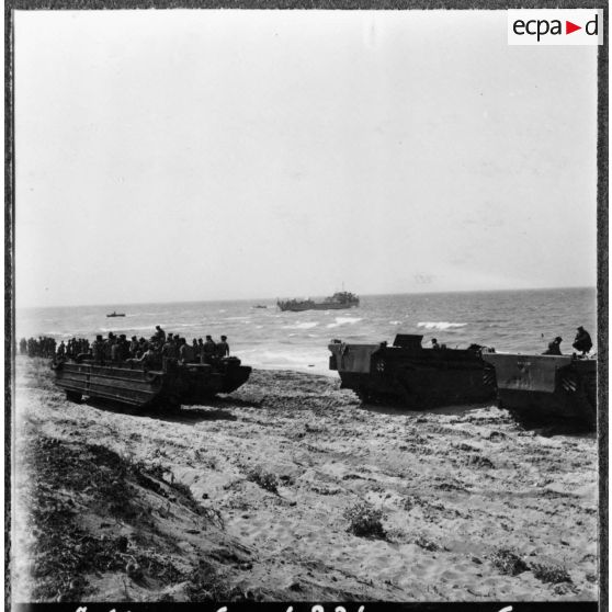 Arzew. Manoeuvre Triton. Des engins amphibies.