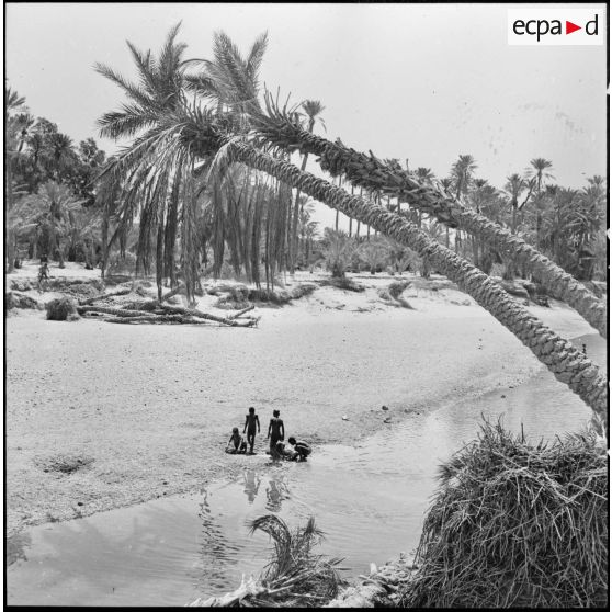 Colomb-Béchar. Festivités du 14 Juillet 1960 dans la zone ouest sud (ZOS). Des enfants jouent au bord de l'eau.