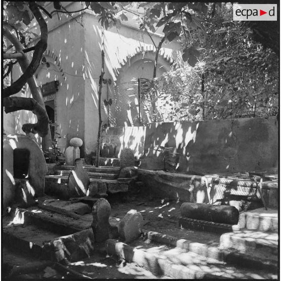 Casbah d'Alger. Un cimetière.