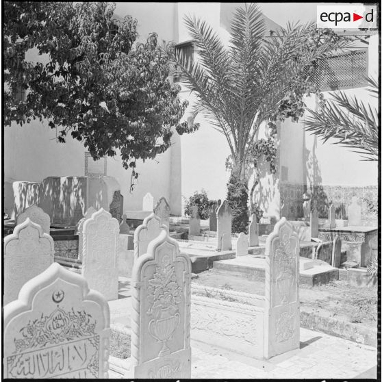 Casbah d'Alger. Un cimetière.