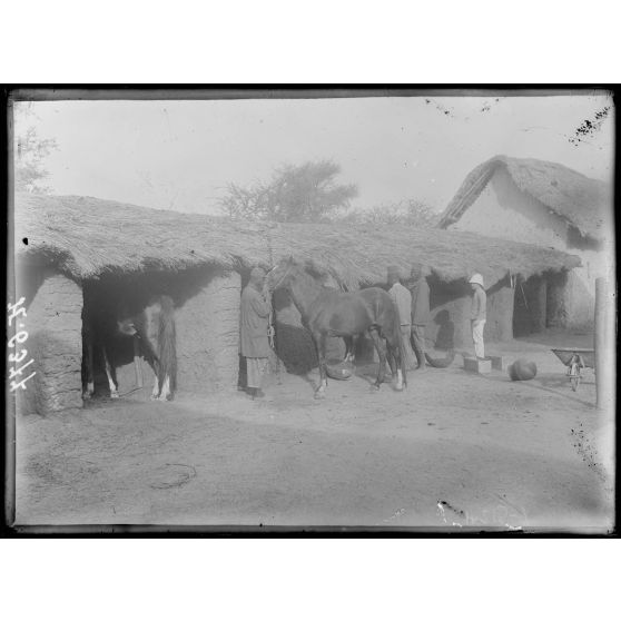 Maroua. Les écuries. [légende d'origine]