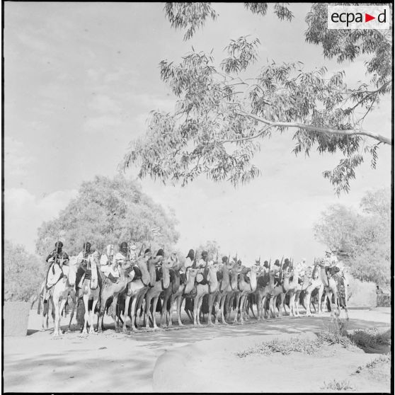 Tamanrasset. Anniversaire du centenaire de la naissance du général Lapperine. Un groupe méhariste.