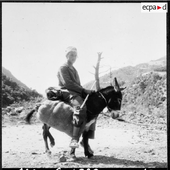 Rovigo. Tournage du film "Autodéfense". Portrait d'un jeune homme sur un âne.