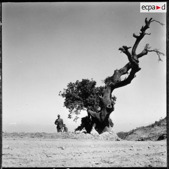 Rovigo. Tournage du film "Autodéfense".