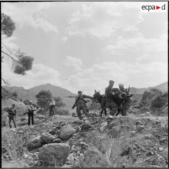 Rovigo. Tournage du film "Autodéfense".