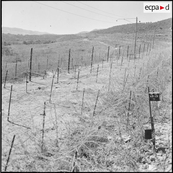 Barrage électrifié de la frontière algero-tunisienne.