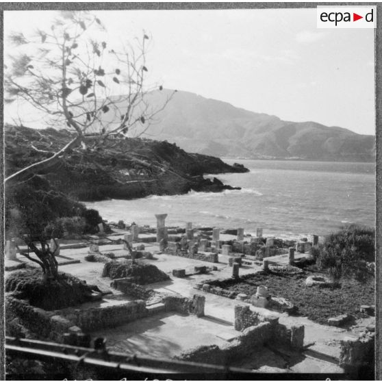 Ruines romaines de Tipasa.
