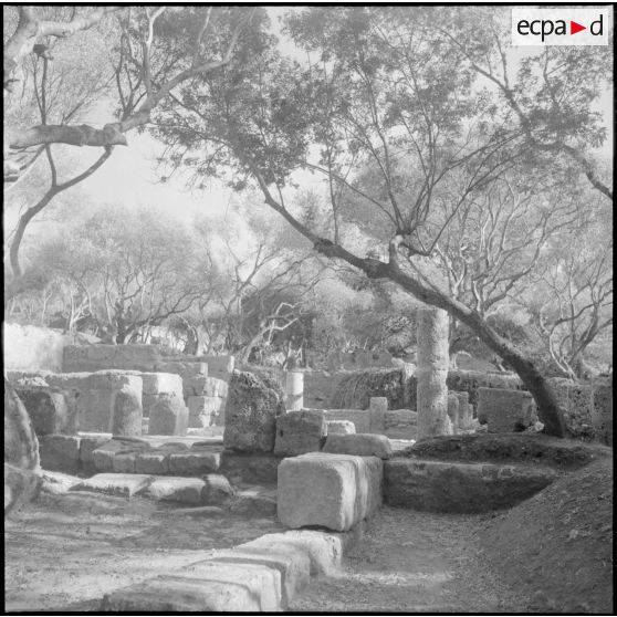 Ruines romaines de Tipasa.