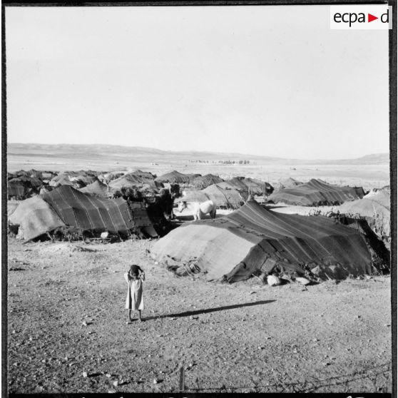 Bedeau. Village de khaïmas des hauts plateaux algériens.