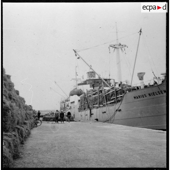 Région d'Oran (Oran ou Arzew). Chargement de l'alfa sur courrier maritime à destination de l'Angleterre.