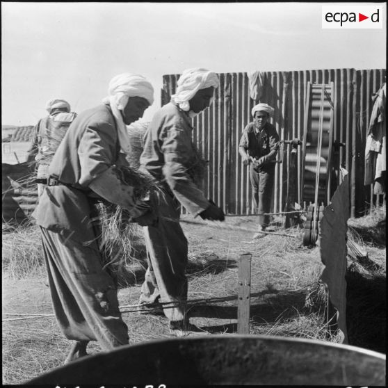 Bedeau. Fabrication de corde avec l'alfa.