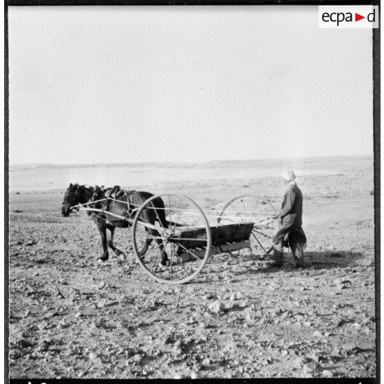 Trezel. Travaux de semailles.