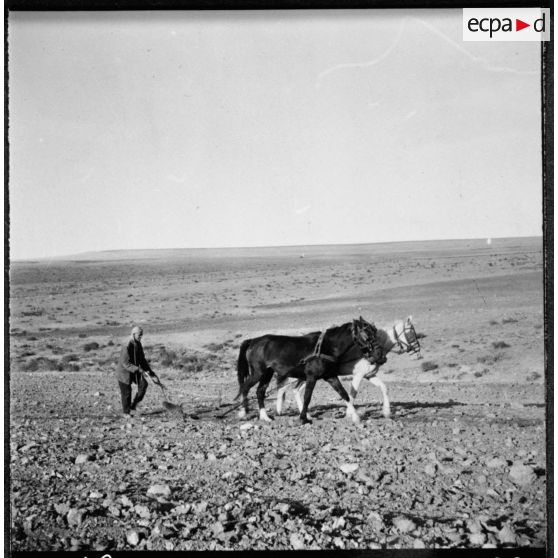 Trezel. Travaux de semailles.