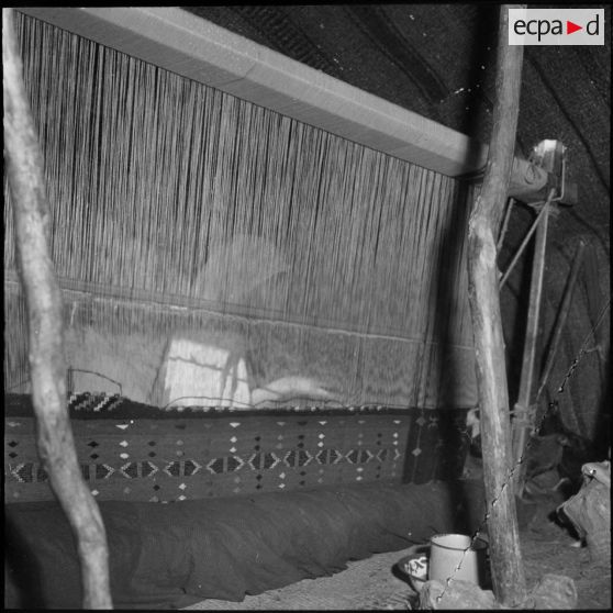 Trezel. Sous la tente, tissage de tapis de laine.