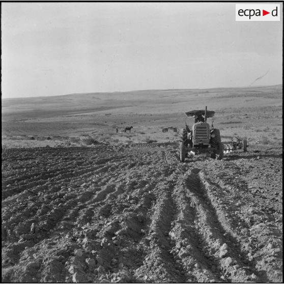 Trezel. Travaux de semailles.