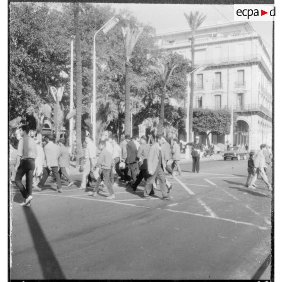 Alger. 1er novembre 1960. Dans la rue à un passage piéton.