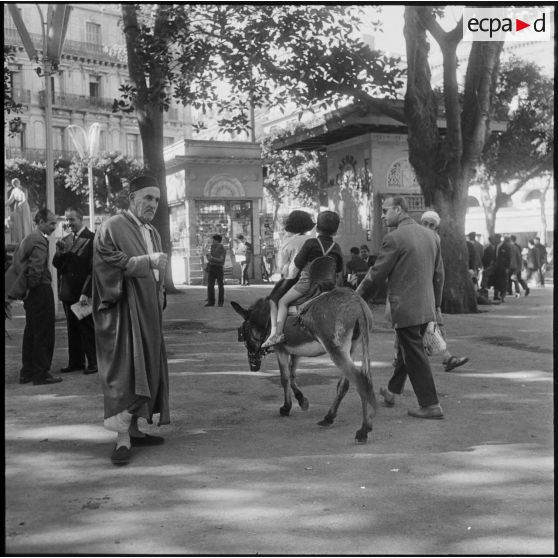 Alger. 1er novembre 1960. Dans les jardins publics, la foule habituelle des promeneurs.