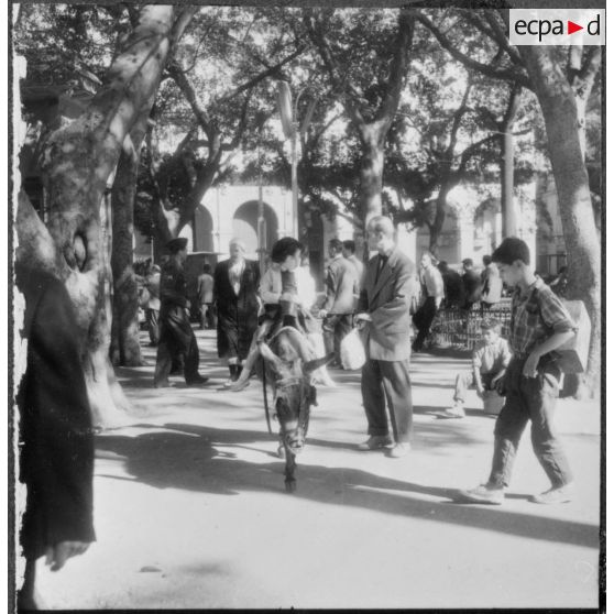 Alger. 1er novembre 1960. Dans le square.