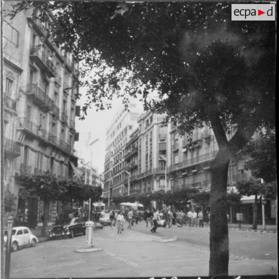 Alger. Les manifestations du 11 novembre 1960. Journée mouvementée.