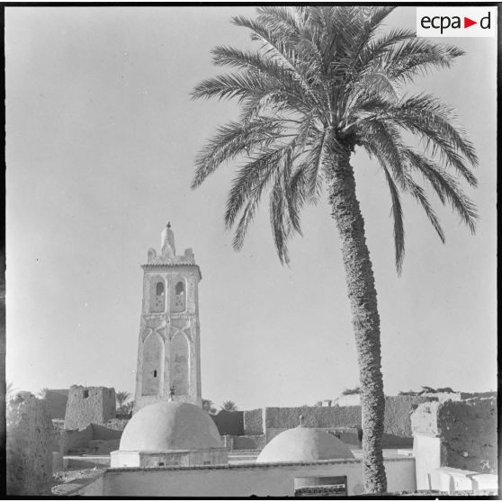 La mosquée de Sidi Okba.