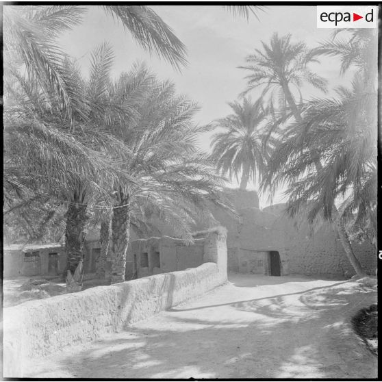 Une ruelle du vieux Biskra.